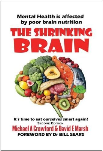 Book cover Shrinking Brain Book cover Shrinking Brain